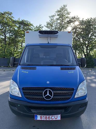 Аренда рефрижератора: Рефрижератор Mercedes‑Benz Sprinter - Тип: изотермический фургон с — 3