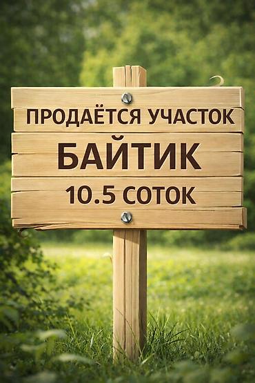 Жер тилкелери: 10 соток, Бизнес үчүн, Кызыл китеп, Техпаспорт, Сатып алуу-сатуу келишими — 1