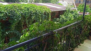 Продажа коттеджей и домов: Продам гостевой дом на южном берегу Иссык-куля, с.Каджи-сай. Не — 2