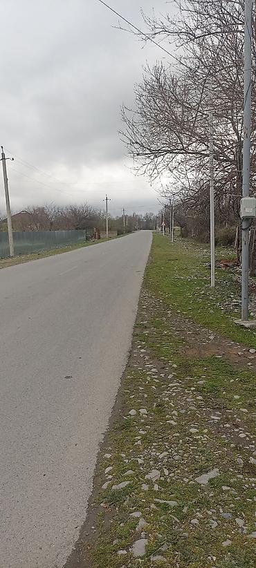 bileceri dasinmaz emlak: Qəbələ, 100 kv. m, 5 otaqlı, Hovuzsuz, İnternet — 3
