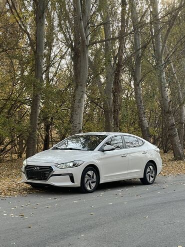 электронный авто: Hyundai Elantra: 2020 г., 1.6 л, Автомат, Гибрид, Седан