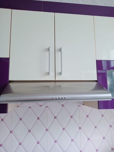 Ət çəkən maşınlar: Aspirator Ezel, rəng - Boz