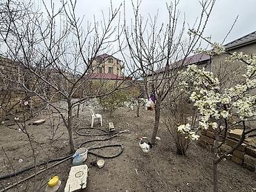 Həyət evləri və villaların satışı: Masazır 5 otaqlı, 100 kv. m — 24