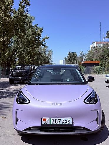 Geely: Geely Geome Xingyuan: 2026 г., Автомат, Электромобиль, Хэтчбэк — 1