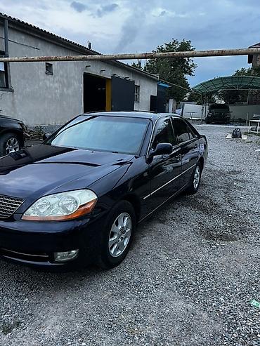Toyota: Toyota Mark II: 2003 г., 2 л, Автомат, Бензин, Седан — 3