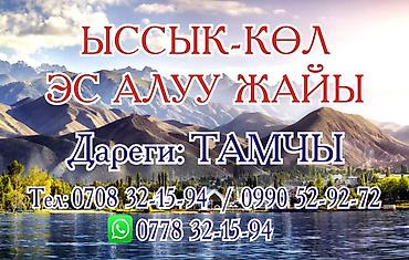 2 8: Гостевой дом на Иссык-Куле, Тамчы, Посуточно — 1