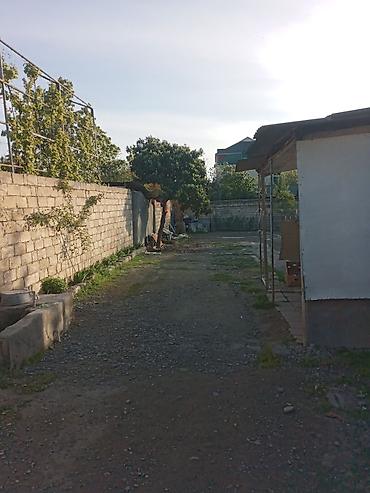 quba şəhəri: 3 otaqlı, 100 kv. m, Kredit yoxdur, Təmirsiz — 3