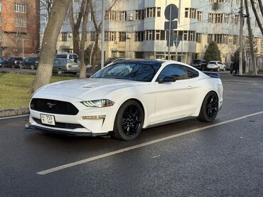 Ford: Ford Mustang: 2020 г., 2.3 л, Автомат, Бензин, Купе — 1