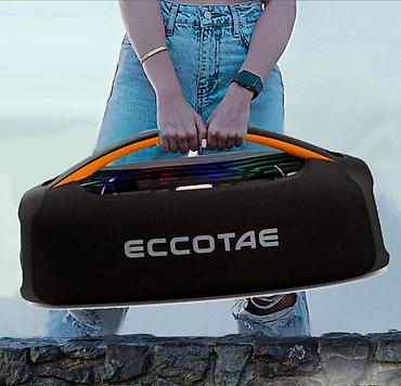 Динамики и колонки: Bluetooth колонка Eccotae Bass Boost | 120W | с микрофоном | 15000 mAh — 1