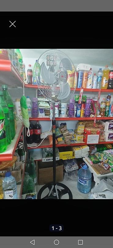 belçika avçarkası: Süretli. Kondis əvəz edir — 4