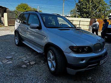 BMW X5: 2004 г., 3 л, Автомат, Бензин, Кроссовер
