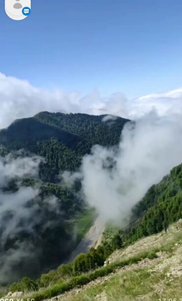 Bağ evlərinin kirayəsi: Dağ mənzərəli kirayə dağ evi / kənd evi - Təbii meşəliklərlə əhatəli — 13
