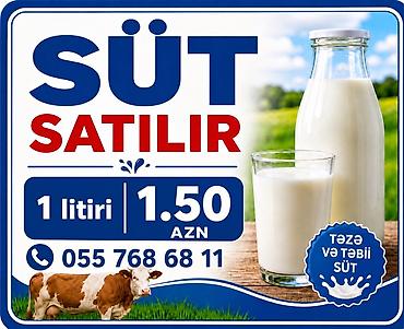 yumurta: Təzə və təbii inək südü satılır. Gündəlik sağım, saf və qatqısız — 1