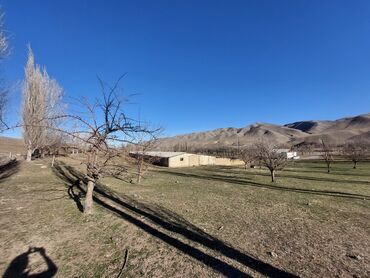 Сельхоз предприятия: Продаю Кошара, 150 соток, Действующий, С оборудованием, Электричество, Холодная вода — 5