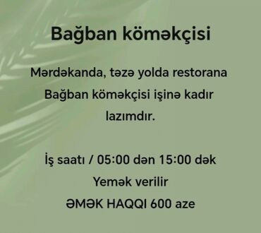 Digər ixtisaslar: Bağban köməkçisi. Mərdəkan qəsəbəsindəki restorana Bağban köməkçisi