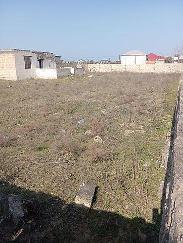 Torpaq sahələrinin satışı: 12 sot, Tikinti, Mülkiyyətçi, Kupça (Çıxarış) — 4