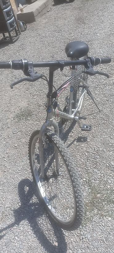bxt fix: Горный велосипед Schwinn (серебристый) - Классическая стальная рама с — 2