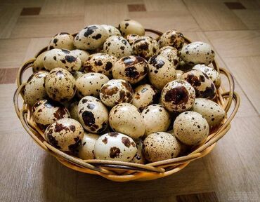 яйца перепелиные: Яйца перепелиные / шт
Бодоно жумурткасы