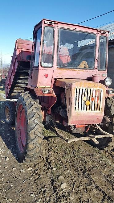 lizingle traktor satisi: T16 traktor saz veziyetdedi hecbir problem yoxtu vatsap var etrafli — 5