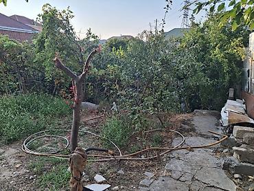 bina az 7 mkr satilan evler: Xırdalanda 2otaqlı 2.5 sot torpaqda ev satılır.meyve ağacları var — 6