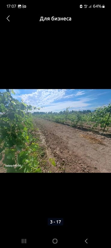 Продажа участков: 230 соток — 17