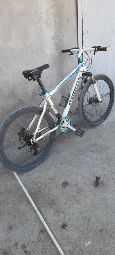 velosiped icarəsi: İşlənmiş Şəhər velosipedi 26", sürətlərin sayı: 1, Ünvandan götürmə