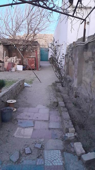 binə mehriban qonşular: 4 sot, Tikinti, Mülkiyyətçi, Kupça (Çıxarış) — 4