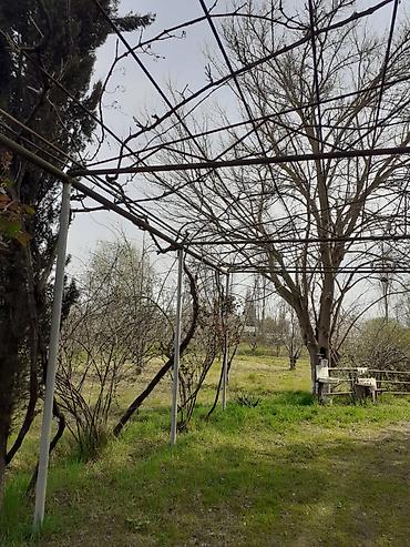 Həyət evləri və villaların satışı: 4 otaqlı, 126 kv. m, Orta təmir — 16