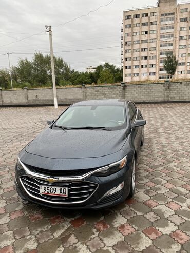 ленд крузер 70: Chevrolet Malibu: 2019 г., 1.5 л, Вариатор, Бензин, Седан