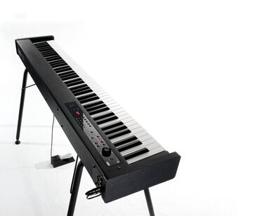 bmw 5 %D1%81%D0%B5%D1%80%D0%B8%D1%8F 530xi mt: Elektron pianino KORG D1 88-key Digital Piano/MIDI Controller with