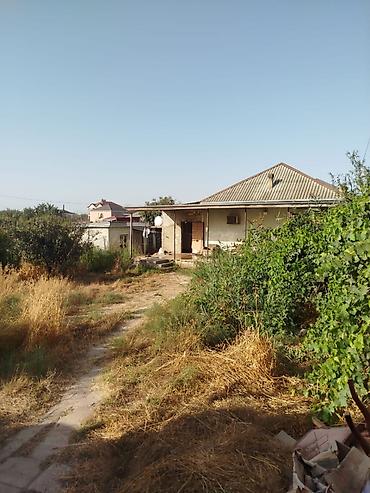 torpaq alışı: 3 otaqlı, 120 kv. m — 1