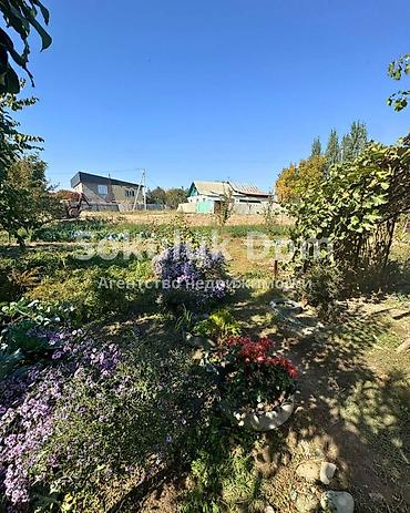 без ремонта: 🏠Продается дом в г. Шопоков от трассы 60 метров 🟡 Комнаты: 4 🟡 — 3