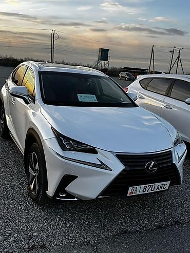 Lexus: Lexus NX: 2018 г., 2 л, Автомат, Бензин, Кроссовер — 3