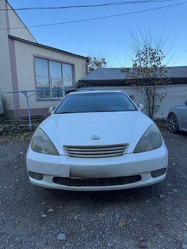 lexus es 300 машина: Автомобиль Lexus ES 300 белого цвета. Седан среднего размера с