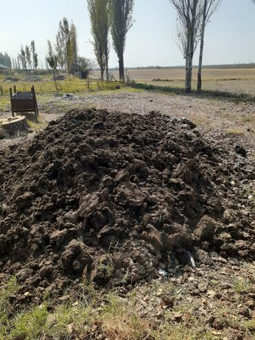 бочки для рыбы: Перегной/органический компост для огорода и сада. Описание: -