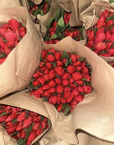 Букеты из живых цветов: Тюльпаны Оптом и в розницу - Разнообразие оттенков: жёлтые, розовые — 16