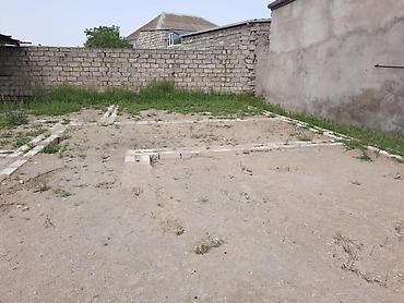 Torpaq sahələrinin satışı: 3 sot, Bələdiyyə -da lalafo.az — 7 Torpaq sahələrinin satışı: 3 sot, Bələdiyyə — 7