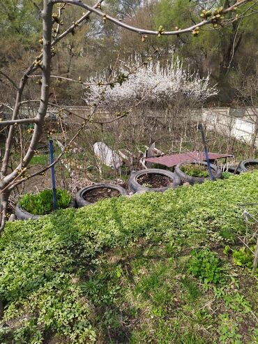 Продажа домов: Дом, 92 м², 5 комнат, Собственник, Евроремонт — 12