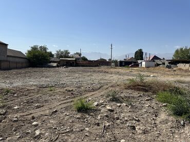 Аренда участков: 40 соток Для бизнеса — 12