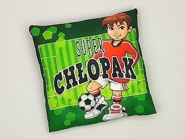 Home & Garden: PL - Pillow 25 x 25, color - Green, condition - Very good — 1