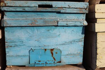 Товары и оборудование для с/х животных: Ульи около 45 комплектов. Рутовская система, корпусные, пригодны для — 30