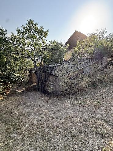 Torpaq sahələrinin satışı: 23 sot, Tikinti, Mülkiyyətçi, Kupça (Çıxarış) — 12