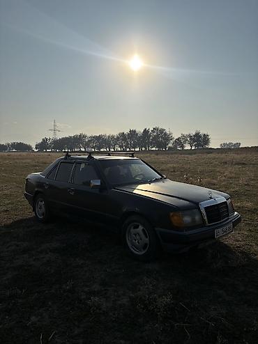 w124 1995: Mercedes-Benz W124: 1988 г., 2.6 л, Механика, Бензин, Седан — 8