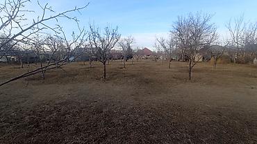 Продажа участков: 25 соток — 19