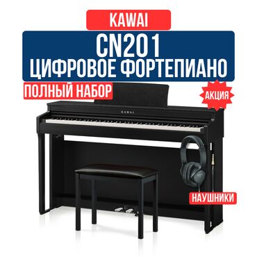 Гитары: Акция! Цифровое пианино Kawai CN201 + Банкетка + Наушники Kawai CN201