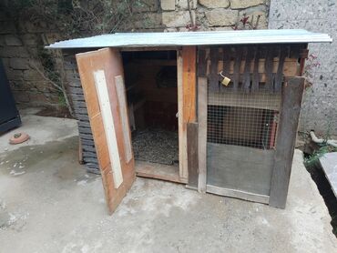 inək südsağan aparat: Taxta toyuq/balıq quşları üçün hin - Material: taxta karkas