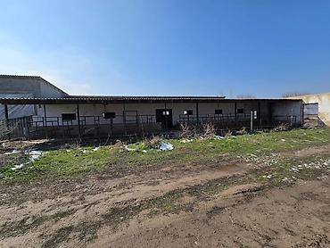 Продажа сельхоз предприятий: Продается сельскохозяйственный объект с готовыми капитальными — 3