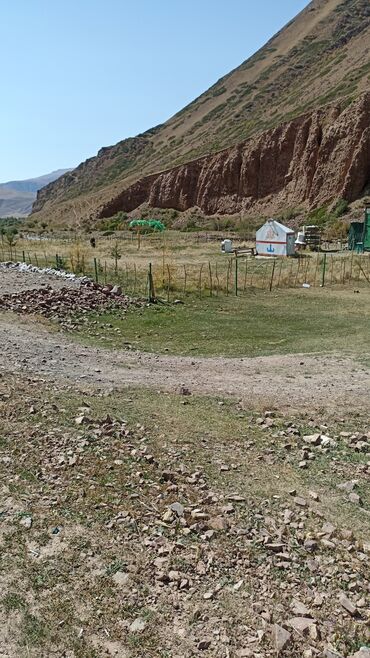 купить землю сх назначения: 4 соток, Для сельского хозяйства, Красная книга