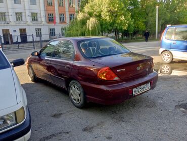 запчасти киа бишкек: Kia Spectra: 2006 г., 1.6 л, Механика, Бензин, Седан