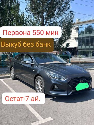 byd машина электромобиль: Hyundai Sonata: 2018 г., 2 л, Автоматтык, Газ